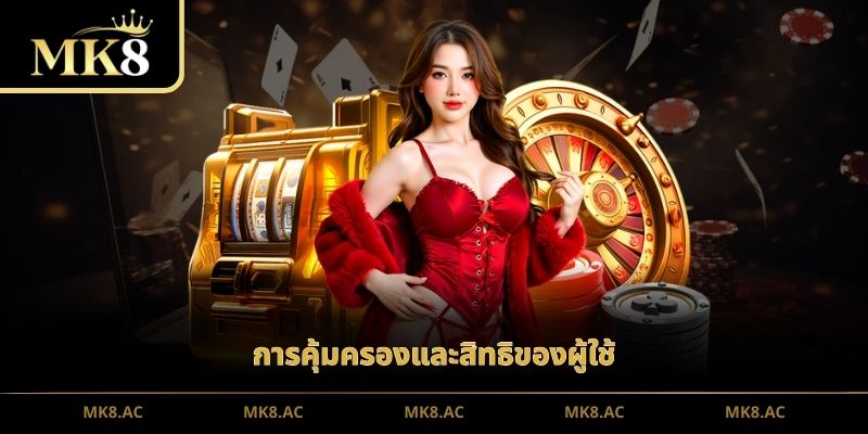 การคุ้มครองและสิทธิของผู้ใช้